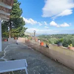 Lentisco - Goelba