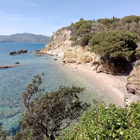 Lentisco - Goelba Capoliveri (Isola d'Elba)