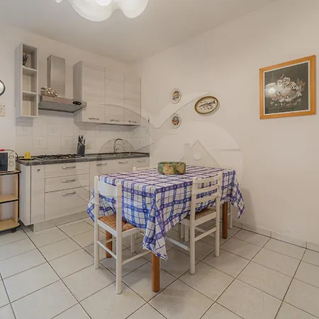 Lentisco - Goelba *