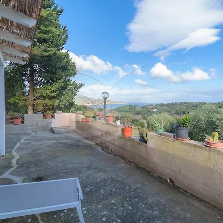 Lentisco - Goelba